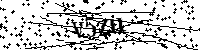 Inserisci le lettere e i numeri che vedi qui sotto